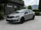 Аренда серого Skoda Rapid в Грузии